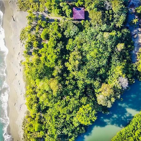 Puerto Jiménez Punta Preciosa B&B 외부 사진