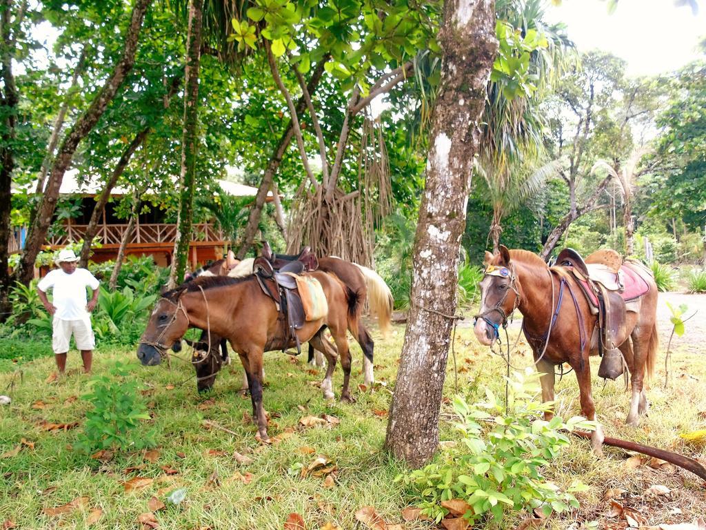 Puerto Jiménez Punta Preciosa B&B 외부 사진