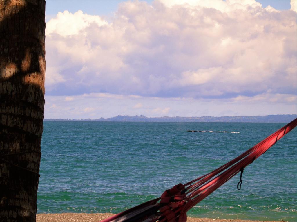 Puerto Jiménez Punta Preciosa B&B 외부 사진