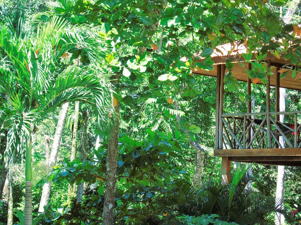 Puerto Jiménez Punta Preciosa B&B 외부 사진