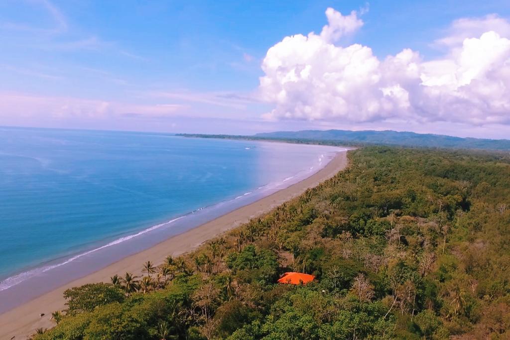 Puerto Jiménez Punta Preciosa B&B 외부 사진