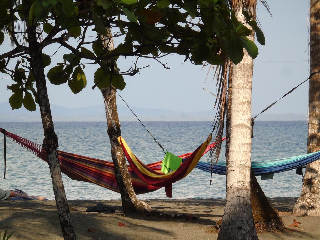 Puerto Jiménez Punta Preciosa B&B 외부 사진