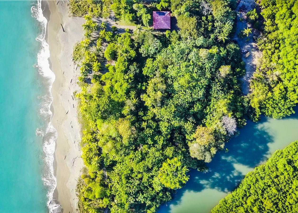 Puerto Jiménez Punta Preciosa B&B 외부 사진